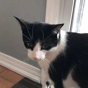 Meet your Posher, Brandy